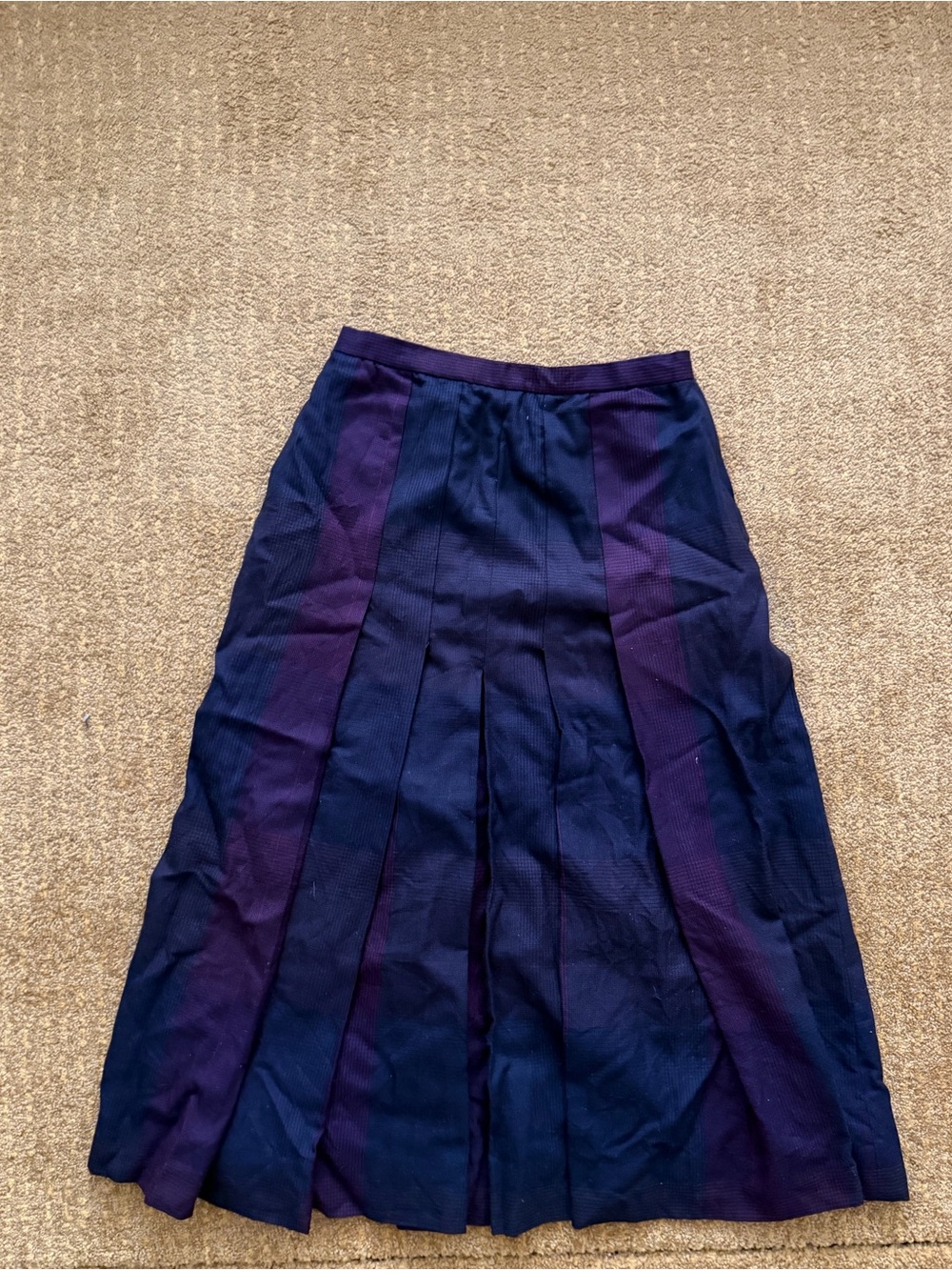 Pleated Maxi Skirt in Navy and Purple